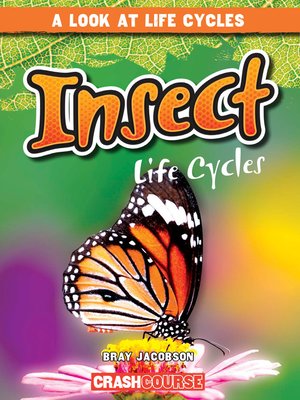 cover image of Insect Life Cycles